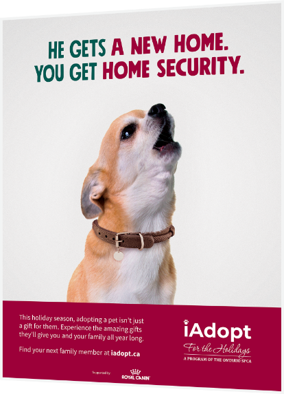 An example ad created by 5Fold for Ontario SPCA for their iAdopt campaign