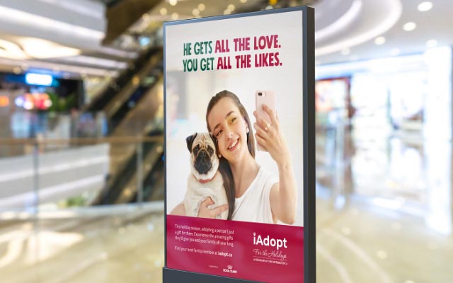 An ad created by 5Fold for Ontario SPCA in situ